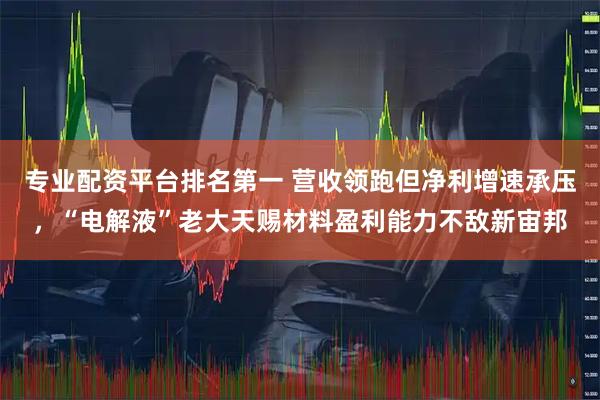 专业配资平台排名第一 营收领跑但净利增速承压，“电解液”老大天赐材料盈利能力不敌新宙邦