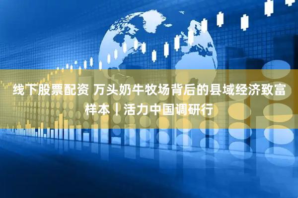 线下股票配资 万头奶牛牧场背后的县域经济致富样本｜活力中国调研行